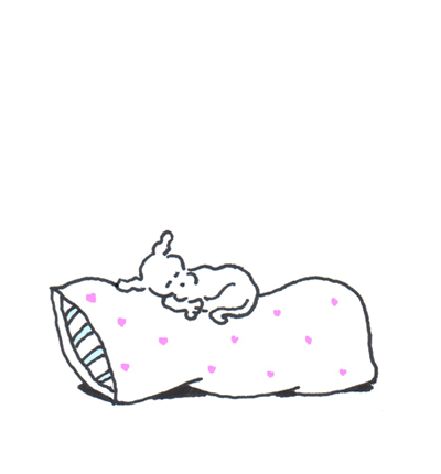 chippythedog chippythedog GIF