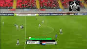 schiappacasse GIF by nss sports