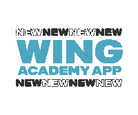 Level Up Foilwing Sticker by Duotone Foil Wing