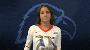 Cnvb Cnvb2019 GIF by Carson-Newman Athletics