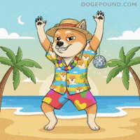 Happy Lets Go GIF by Doge Pound
