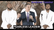 New York Vote GIF by Andrew Cuomo
