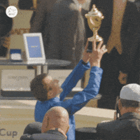 Gold Cup Kiss GIF by World Horse Racing