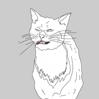 cat lol GIF by Animation Domination High-Def