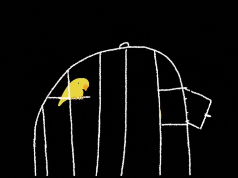 Break Free Bird GIF by Barbara Pozzi