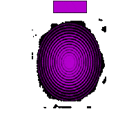 Festival Musica Sticker by Green Cow Music