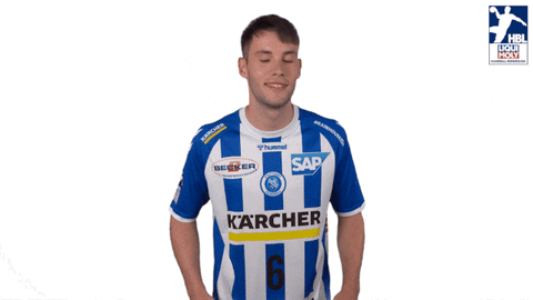 Handball-Bundesliga Sport GIF by LIQUI MOLY HBL