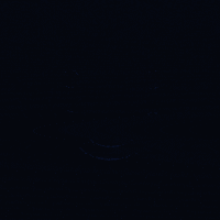 Visiblemobile GIF by Visible