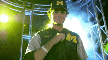 GIF by Michigan Athletics