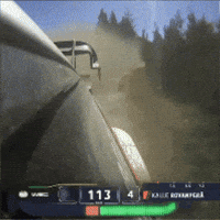 Fans Portugal GIF by FIA World Rally Championship