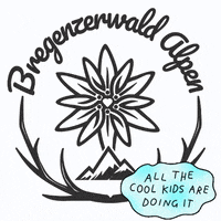 BregenzerwaldAlpen bregenzerwald GIF