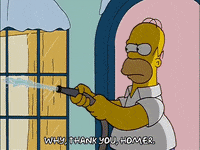 shocked homer simpson GIF