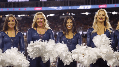 Football Nfl GIF by New England Patriots
