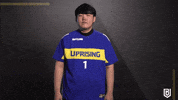 Overwatch Yes GIF by Boston Uprising