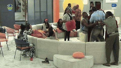 Bbnaija Fights GIF by Big Brother Naija