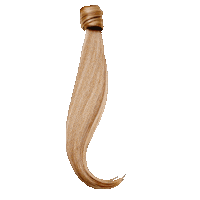 Crownjewelhairstudio hair extensions crown jewel hair studio washington salon crown gang Sticker