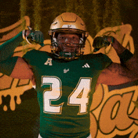 College Football GIF by USF Athletics