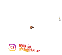 Samruddhi20B Sticker by BORN ON INSTAGRAM