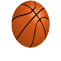 Basket Ballon Sticker by Eminence