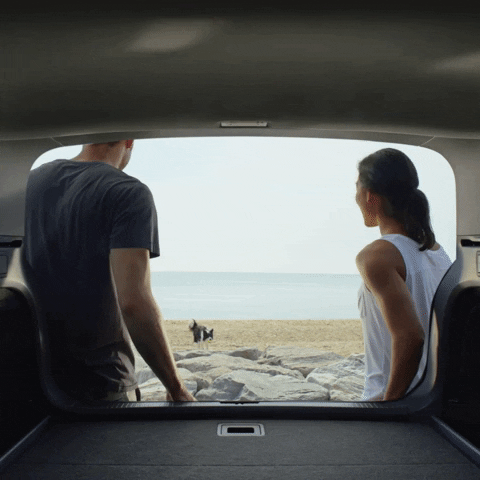 fetch border collie GIF by Volkswagen USA