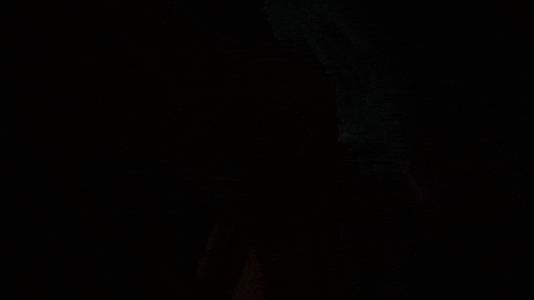 rccoworldex giphygifmaker esports race simracing GIF