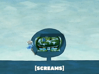 season 5 new digs GIF by SpongeBob SquarePants