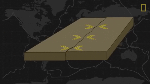 franz1 giphygifmaker quakes plates GIF
