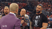 Wwe Wrestler GIF by USA Network