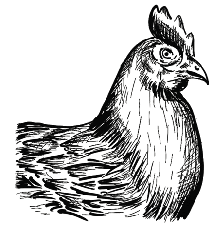 Schnauze-und-company giphyupload wurst huhn fleisch Sticker