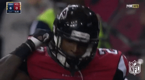 atlanta falcons GIF by NFL