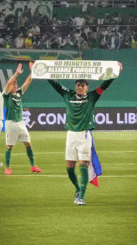 Semi Final Libertadores GIF