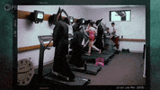 GIF by PBS Digital Studios