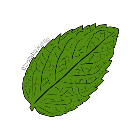 IlluminatedIngredients  Sticker