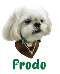 Dog Sticker