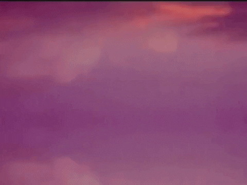 Footage Oaf GIF by jorgemariozuleta