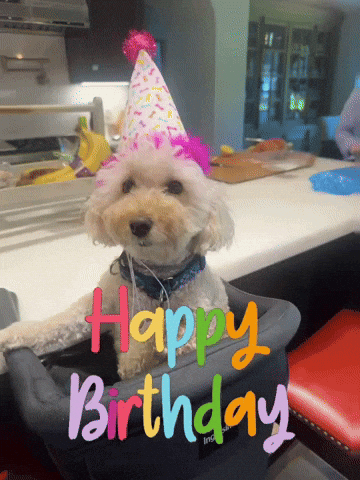 Happy Birthday Dog GIF by arielle-m