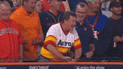 Fan Celebrate GIF by MLB