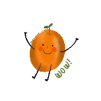 Commbinnistudio happy wow orange feliz Sticker