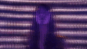 Purple GIF by Sharon Van Etten