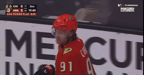 Anaheim Ducks Hockey GIF