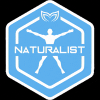 molchanovs molchanovs naturalist molchinaturalist GIF