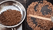 American Chemical Society Coffee GIF by PBS Digital Studios