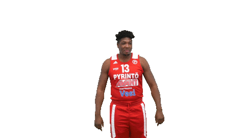 Basketball Hoops Sticker by Basket_fi