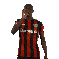 Celebrating Happy Birthday Sticker by Bayer 04 Leverkusen