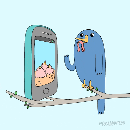 Fox Bird GIF by Animation Domination High-Def