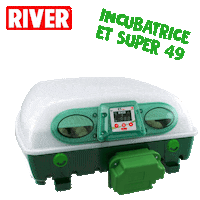 Chicks Made In Italy Sticker by River Systems