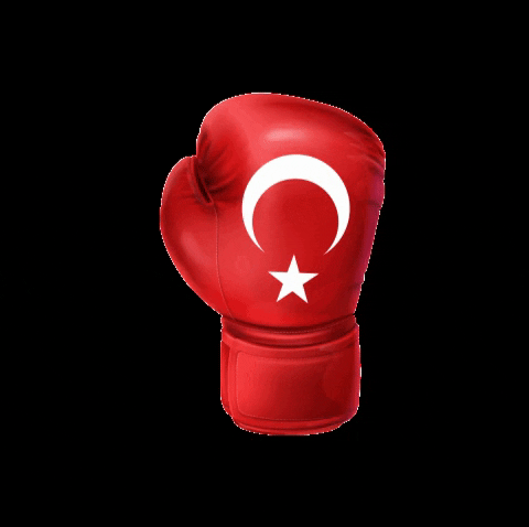 Fist Boxer Glove GIF by cinfikir ajans
