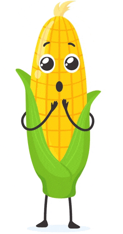 Corn GIF by Dreamers & Schemers