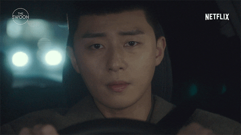 Netflix Driving GIF by The Swoon