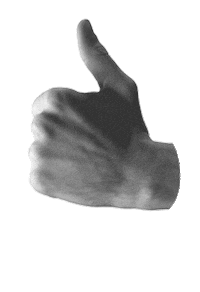 Radio Club Sticker by S Fidelity